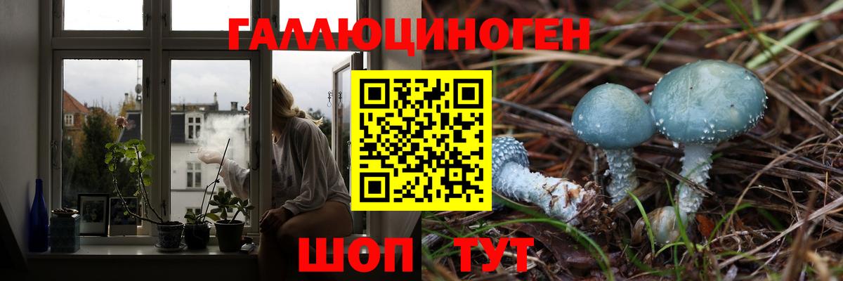 Псилоцибиновые грибы Magic Shrooms Городец